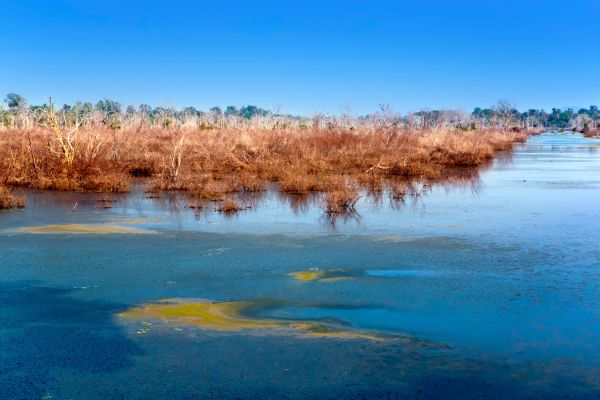 Circuit Cambodge Authentique en Privatif 4* et plage à Koh Rong 5* pas cher photo 3