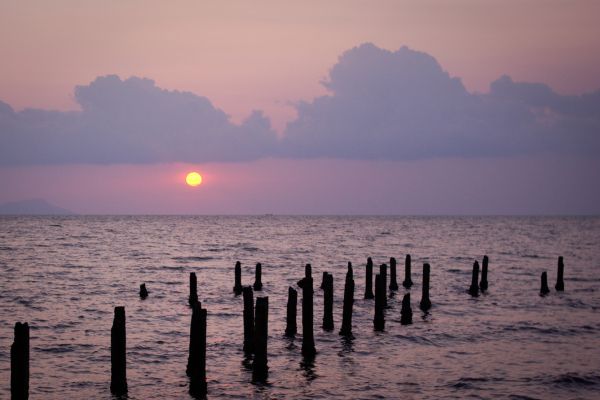 Circuit Lotus du Cambodge et plage à Kep pas cher photo 26