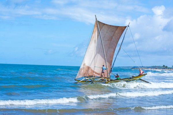 Combiné circuit et hôtel Authentique Sri Lanka 3* & extension au Framissima Evasion Turyaa Kalutara  pas cher photo 2