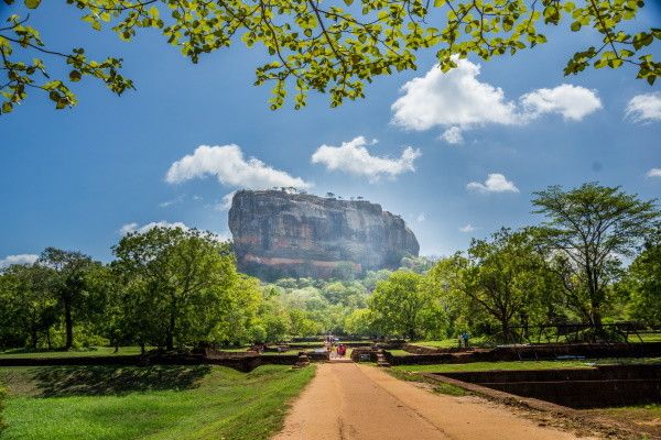 Combiné circuit et hôtel Authentique Sri Lanka 3* & extension au Framissima Evasion Turyaa Kalutara  pas cher photo 6