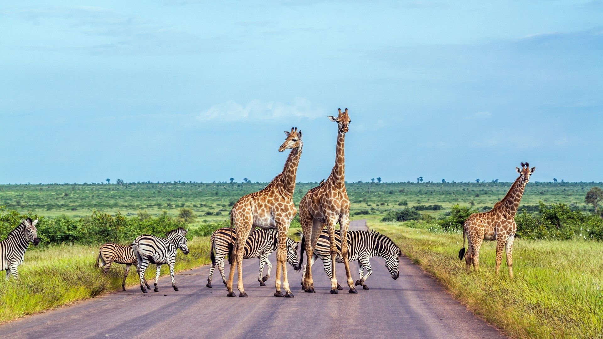 AUTOTOUR CLIN D'ŒIL SUD-AFRICAIN 12J/9N pas cher photo 2