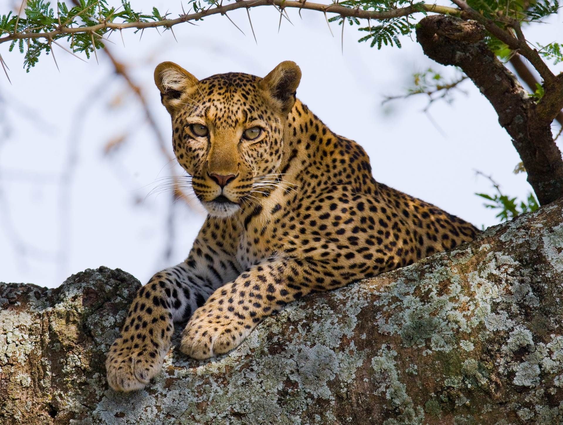 Sur la route : Clin d'Oeil Sud-Africain - 12J/9N pas cher photo 9