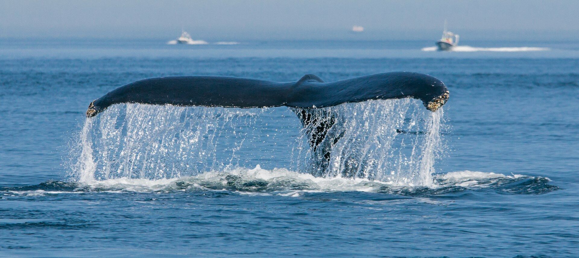 Autotour Ma Cabane au Canada - 15J/13N pas cher photo 10