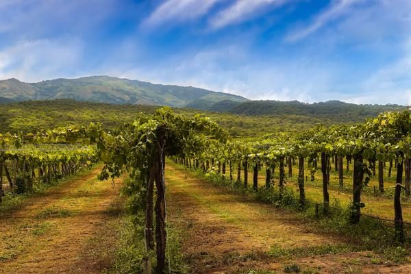 Circuit Contrastes du Nord Argentin pas cher photo 13