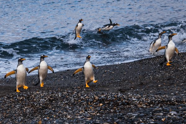 Circuit Patagonie de Feu et de Glace - Argentine & Chili pas cher photo 14