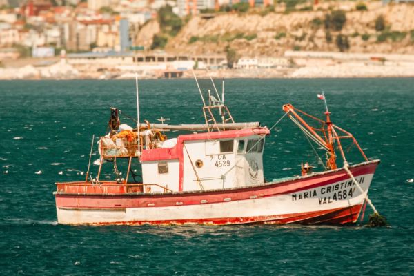 Circuit Légendes du Chili : De Valparaiso à Rapa Nui pas cher photo 13