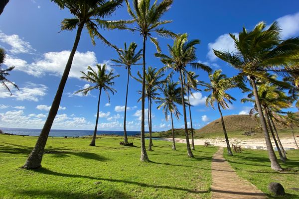 Circuit Légendes du Chili : De Valparaiso à Rapa Nui pas cher photo 37
