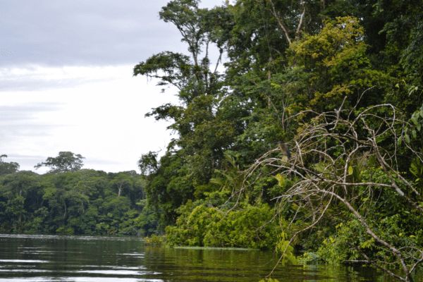 Circuit Le Costa Rica en Liberté, entre Faune Sauvage et Mangroves pas cher photo 11