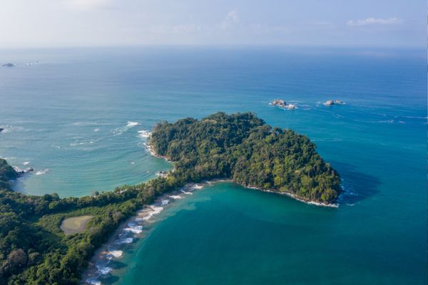 Circuit Le Costa Rica en Liberté, entre Faune Sauvage et Mangroves pas cher photo 29