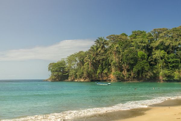 Circuit Le Costa Rica en Liberté, entre Faune Sauvage et Mangroves pas cher photo 34