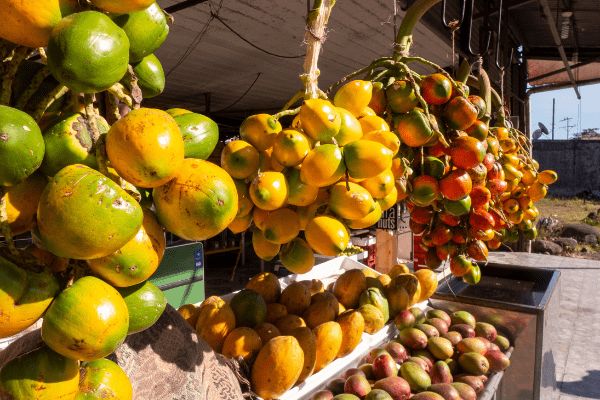 Circuit Autotour De la Mer des Caraïbes à l'Océan Pacifique pas cher photo 16