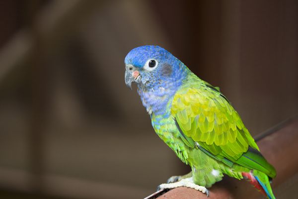 Circuit Autotour De la Mer des Caraïbes à l'Océan Pacifique pas cher photo 20
