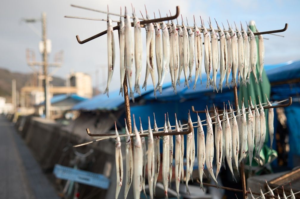 Circuit Monts et Mers Veillent 3* ou 4* pas cher photo 17