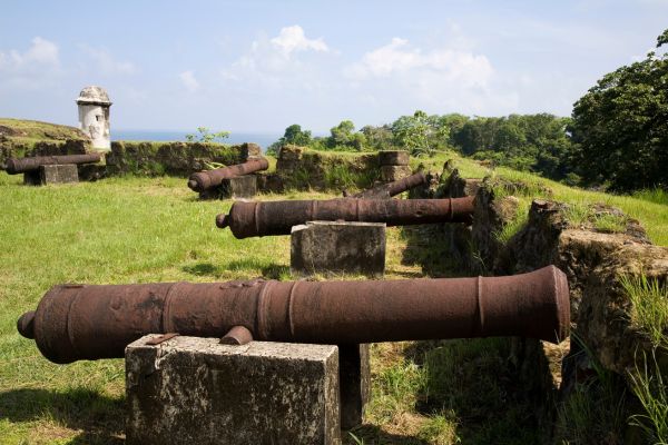 Circuit Orchidées du Panama en Privatif pas cher photo 24