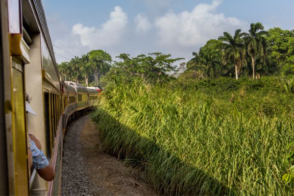 Circuit Orchidées du Panama en Privatif pas cher photo 26
