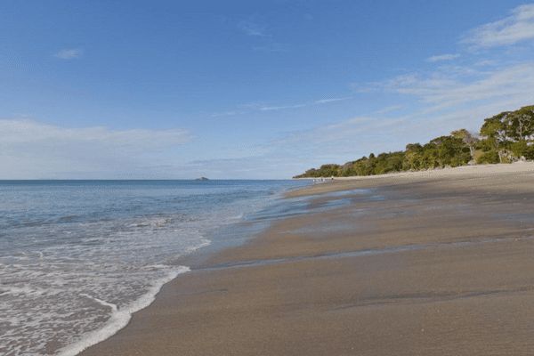 Circuit Orchidées du Panama en Privatif pas cher