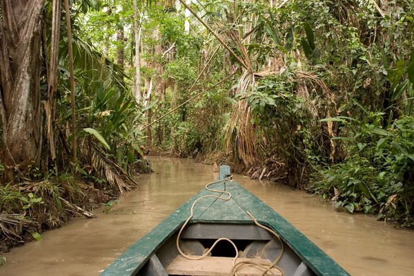 Circuit Cuzco, Pisco & Amazonie pas cher photo 33