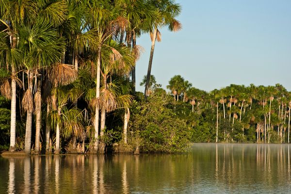 Circuit Cuzco, Pisco & Amazonie pas cher photo 34