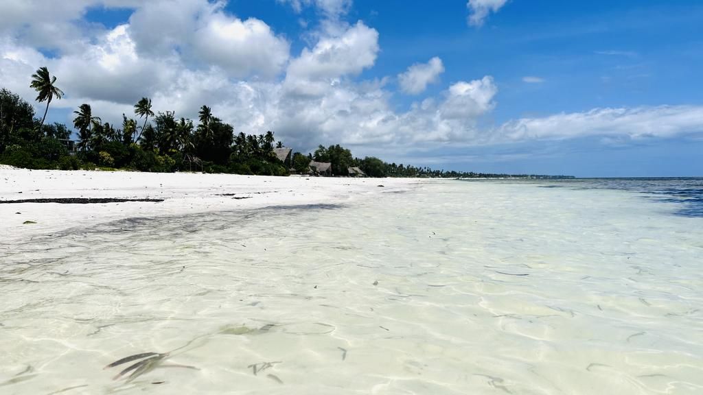 Hôtel Palumbo Mnemba View 4*sup et Safari 2 nuits pas cher photo 9