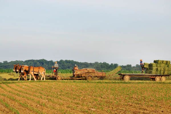 Circuit Les Grands Sites de l'Est Américain pas cher photo 9