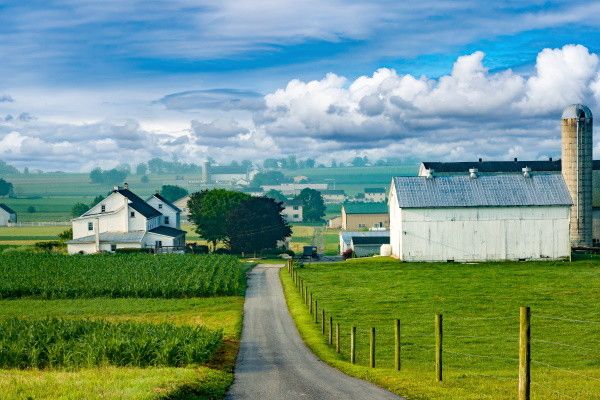 Circuit Couleurs du Canada et de l'Est américain + extension 2 nuits (Boston + Montréal) pas cher photo 27