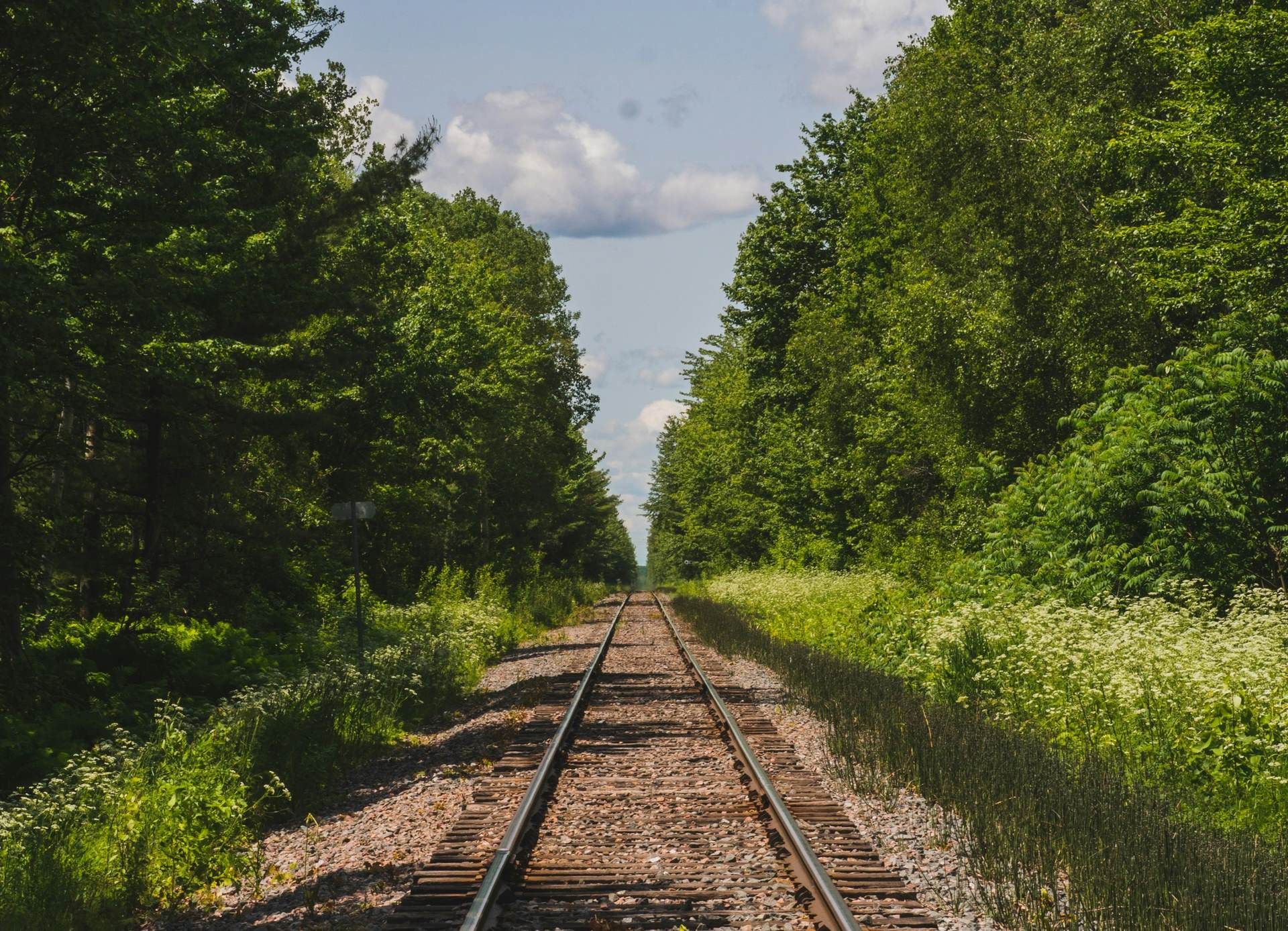 Sur les rails de l'Est canadien - 13J/11N pas cher photo 2