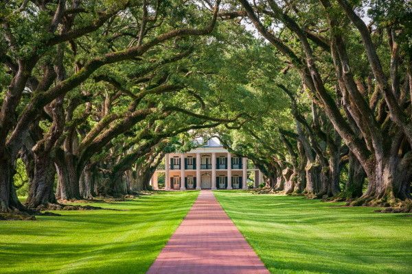 Autotour Authentique Louisiane en Liberté pas cher photo 6