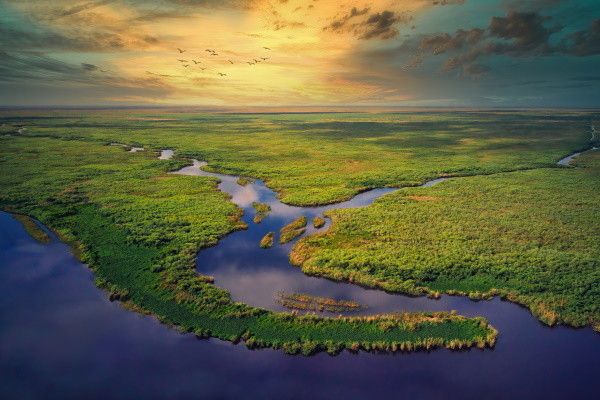 Autotour Souriante Floride en Liberté pas cher photo 18