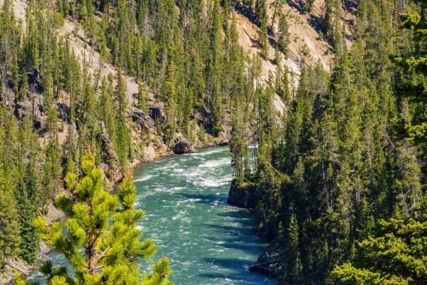 Autotour Grands Parcs des Rocheuses en Liberté pas cher photo 9