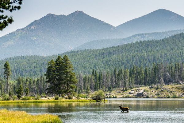 Autotour Grands Parcs des Rocheuses en Liberté pas cher photo 16