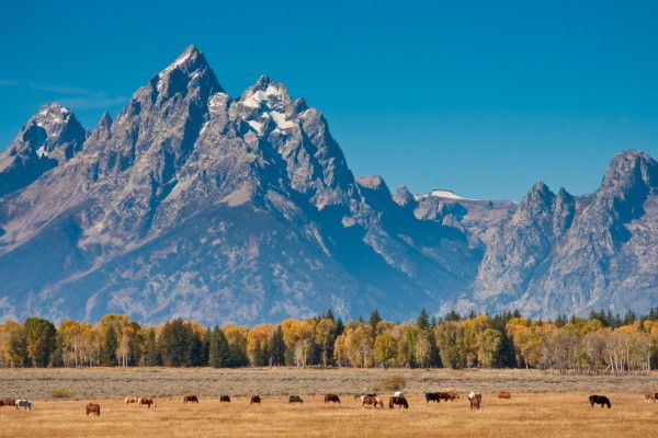 Autotour Grands Parcs des Rocheuses en Liberté pas cher photo 20
