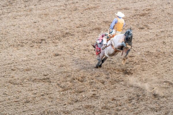 Autotour Des Rocheuses à Las Vegas en Liberté pas cher photo 24
