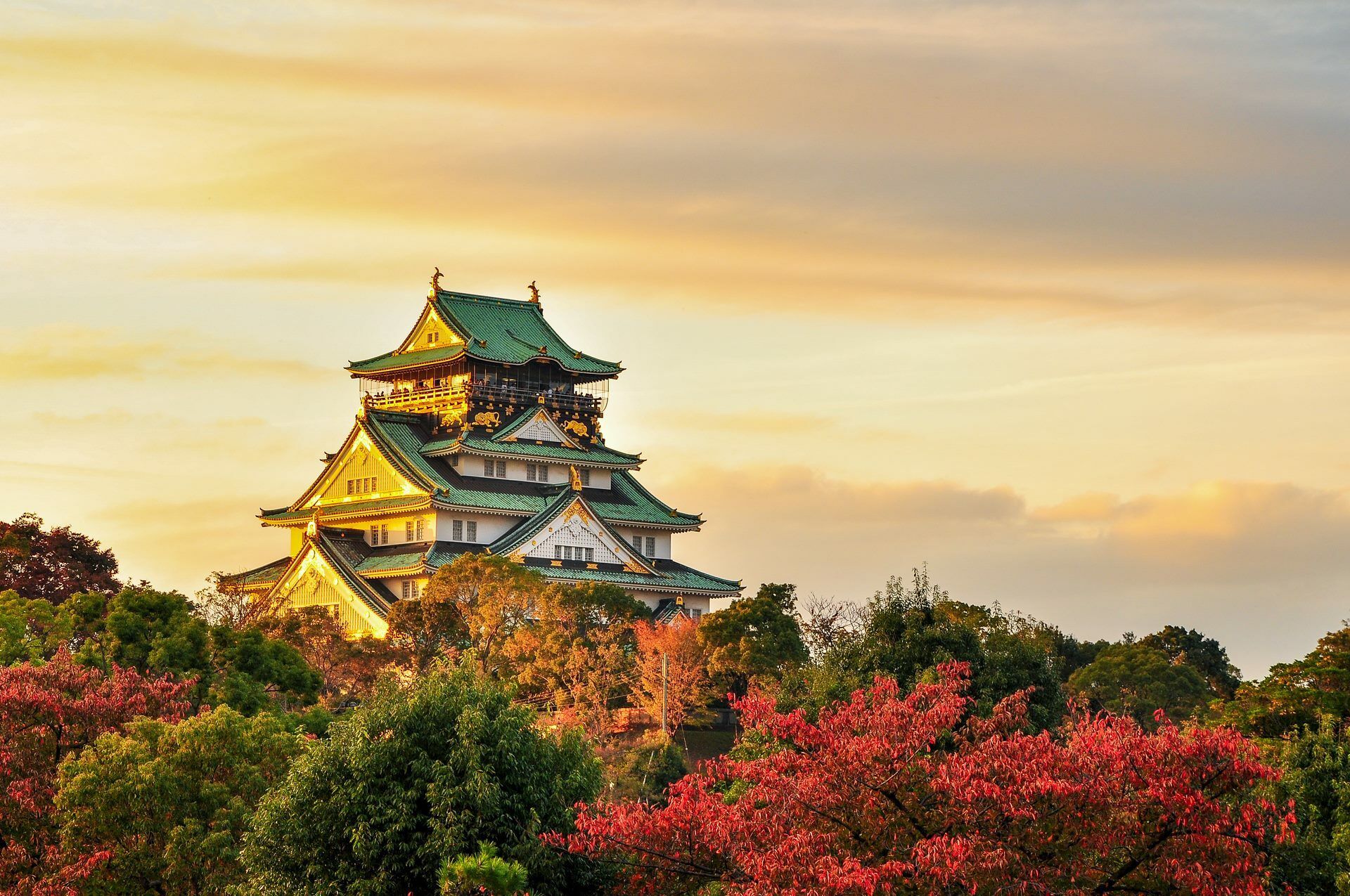 Magie du Japon ext. Tokyo - 17J/14N pas cher photo 7