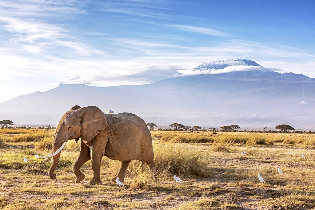 Hôtel Leopard Beach Resort 5* By Ôvoyages et Safari 3 nuits pas cher photo 17