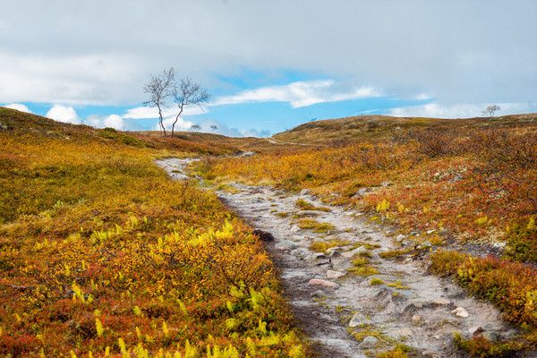 Circuit Grandeurs des 3 Laponies pas cher photo 11