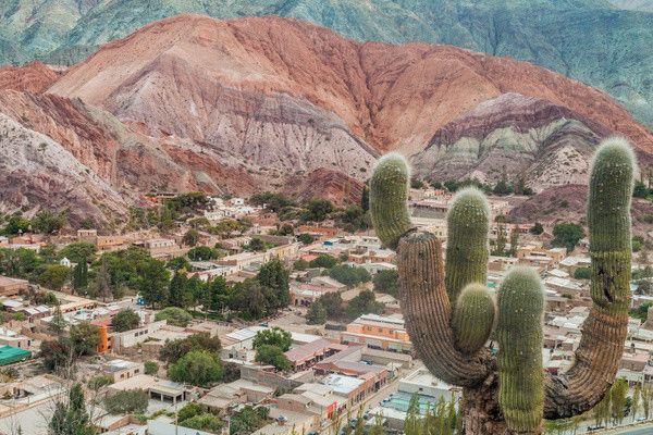 Circuit L'Argentine des grands espaces + extension Ushuaia (maximum 16 participants) pas cher photo 14