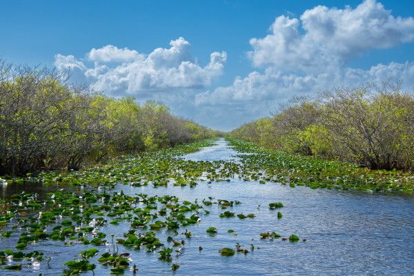 Autotour Sur les Routes Ensoleillées de Floride pas cher photo 11