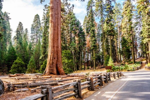 Circuit L'Amérique des Westerns (petit groupe) 3* pas cher photo 7