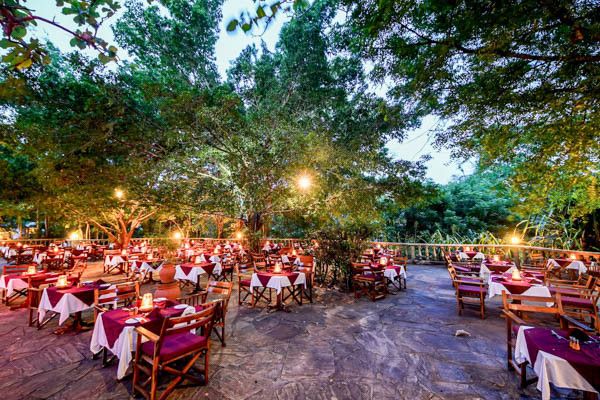 Combiné circuit et hôtel Papillon Lagoon Reef 3* avec 2 nuits Tsavo est/Ouest pas cher photo 26