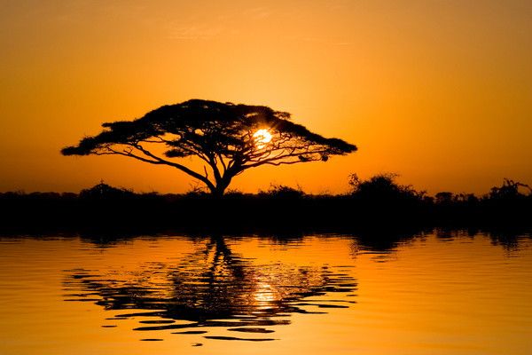 Combiné circuit et hôtel Papillon Lagoon Reef 3* avec 2 nuits Tsavo est/Ouest pas cher photo 6