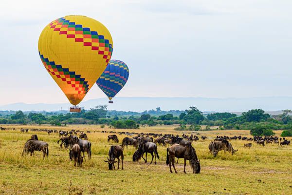 Circuit Safari Express, lacs et savane du Kenya pas cher photo 6