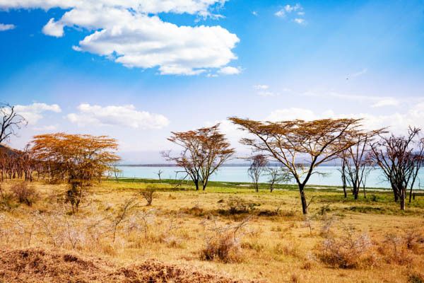 Circuit Safari au coeur des grands parcs du Kenya (circuit privatif) pas cher photo 16