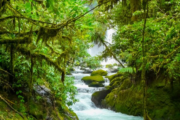 Circuit Viva La Vida et plage de Tambor 4* pas cher photo 22