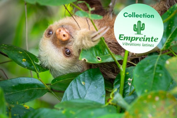 Circuit Viva La Vida et Jungle de Tortuguero pas cher photo 2