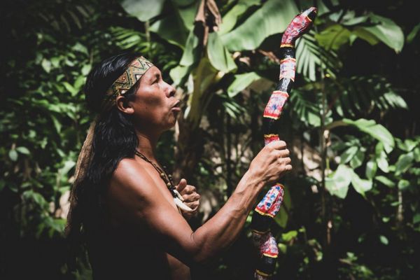 Circuit Viva La Vida et Jungle de Tortuguero pas cher photo 18