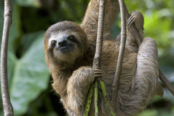 Circuit Viva La Vida et plage de Tamarindo 5* pas cher photo 24