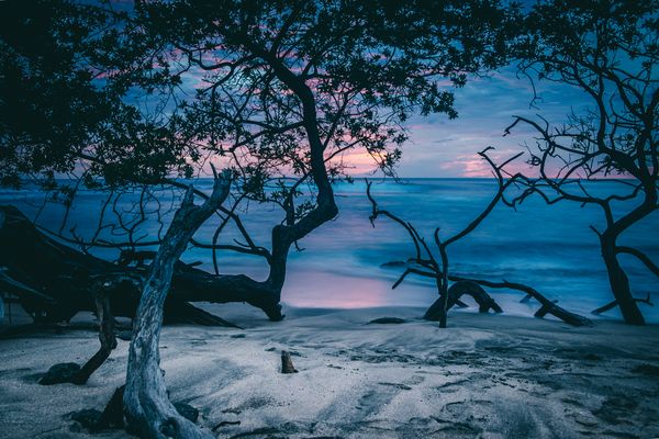 Circuit Viva La Vida et plage de Tamarindo 5* pas cher photo 27