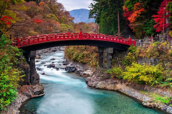 Circuit Traditions et culture du Japon et extension à Nikko et Tokyo 3* pas cher photo 23