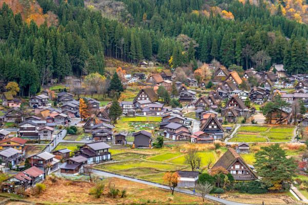 Circuit Traditions et culture du Japon, itinéraire prolongé 3* pas cher photo 12