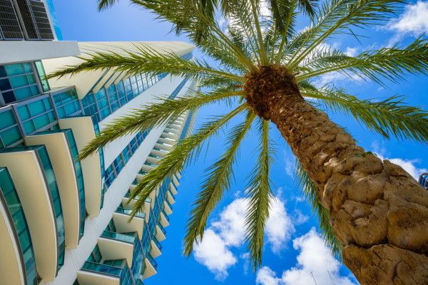 Circuit La Côte Est Américaine, entre New York et Miami pas cher photo 14